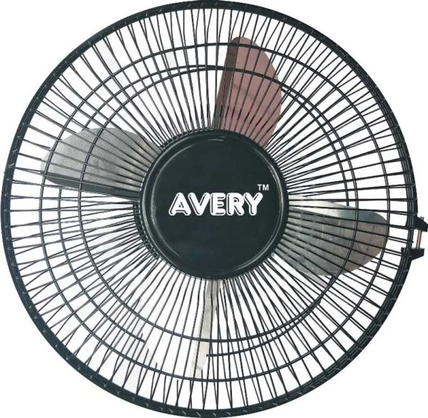 fan2